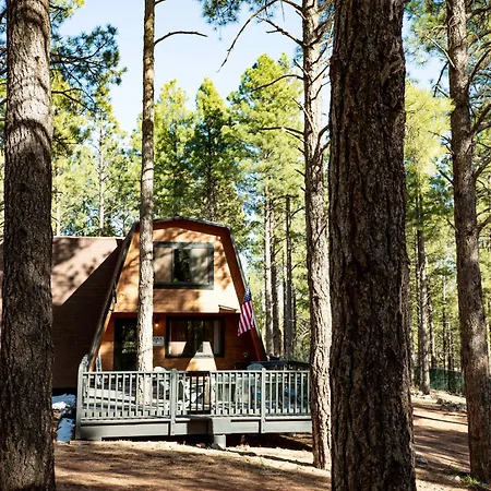 Grand Canyon Cabin! One Hour And 10 Minutes To The South Entrance! Williams Exterior photo