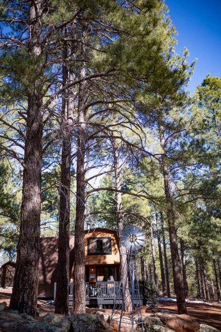 Grand Canyon Cabin! One Hour And 10 Minutes To The South Entrance! *