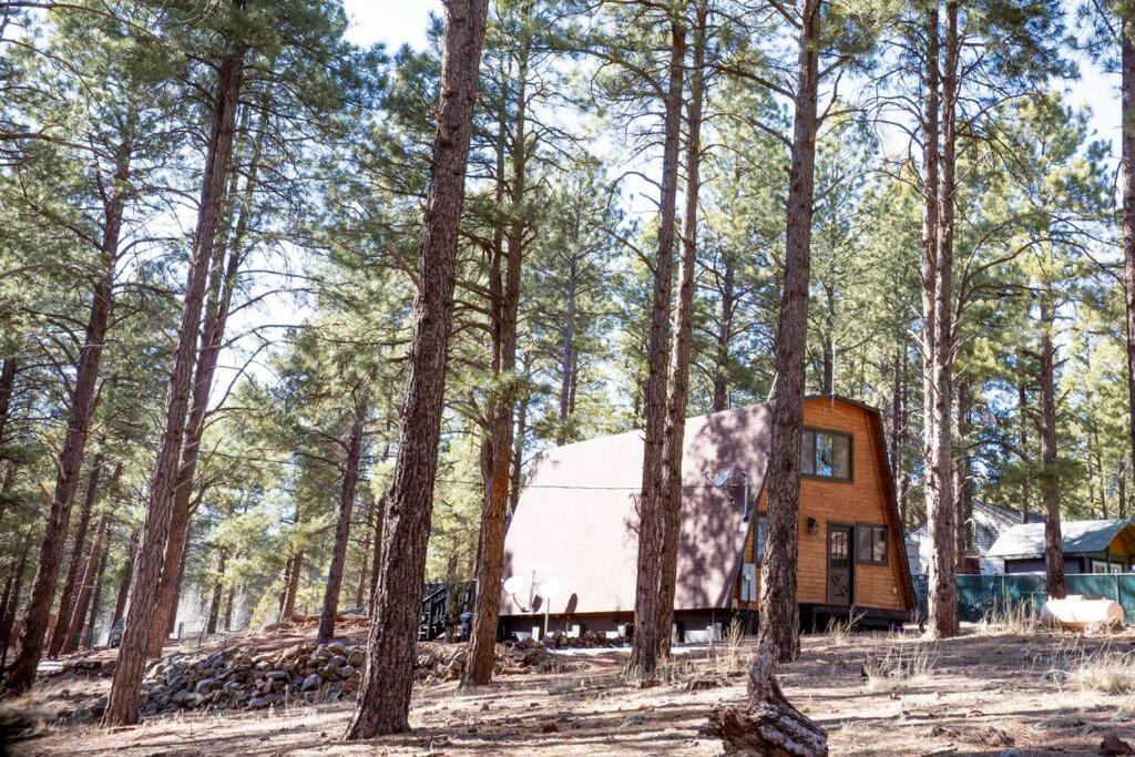 Grand Canyon Cabin! One Hour And 10 Minutes To The South Entrance! Williams