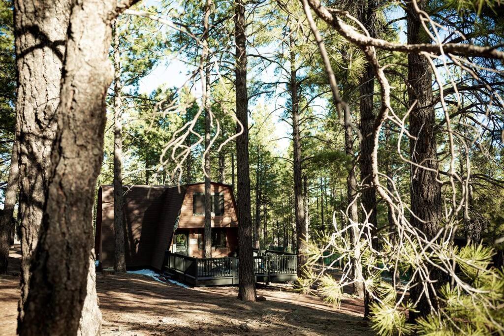 Grand Canyon Cabin! One Hour And 10 Minutes To The South Entrance!