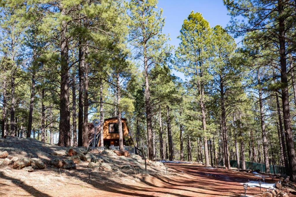 Grand Canyon Cabin! One Hour And 10 Minutes To The South Entrance! Hébergement de vacances *