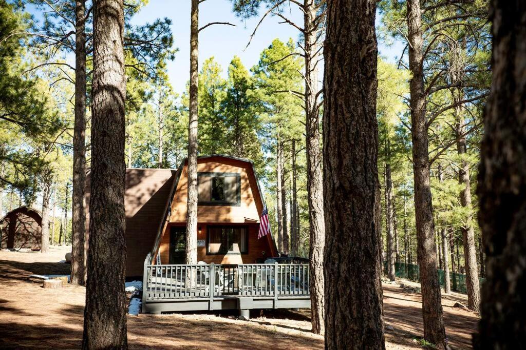 Grand Canyon Cabin! One Hour And 10 Minutes To The South Entrance! * Williams