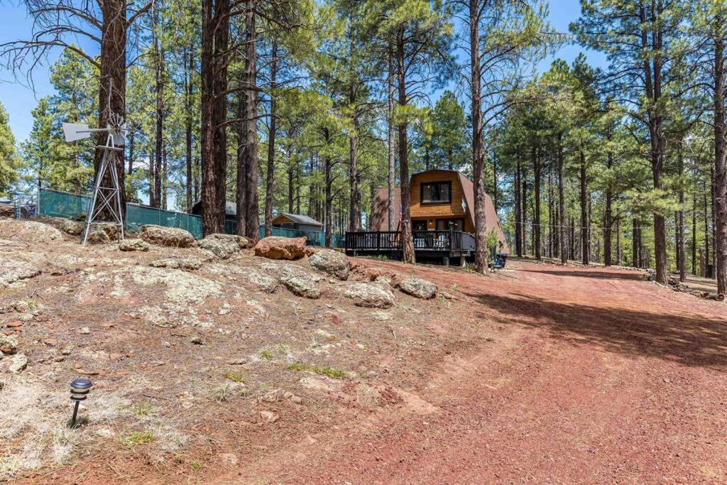 Grand Canyon Cabin! One Hour And 10 Minutes To The South Entrance! Hébergement de vacances Williams