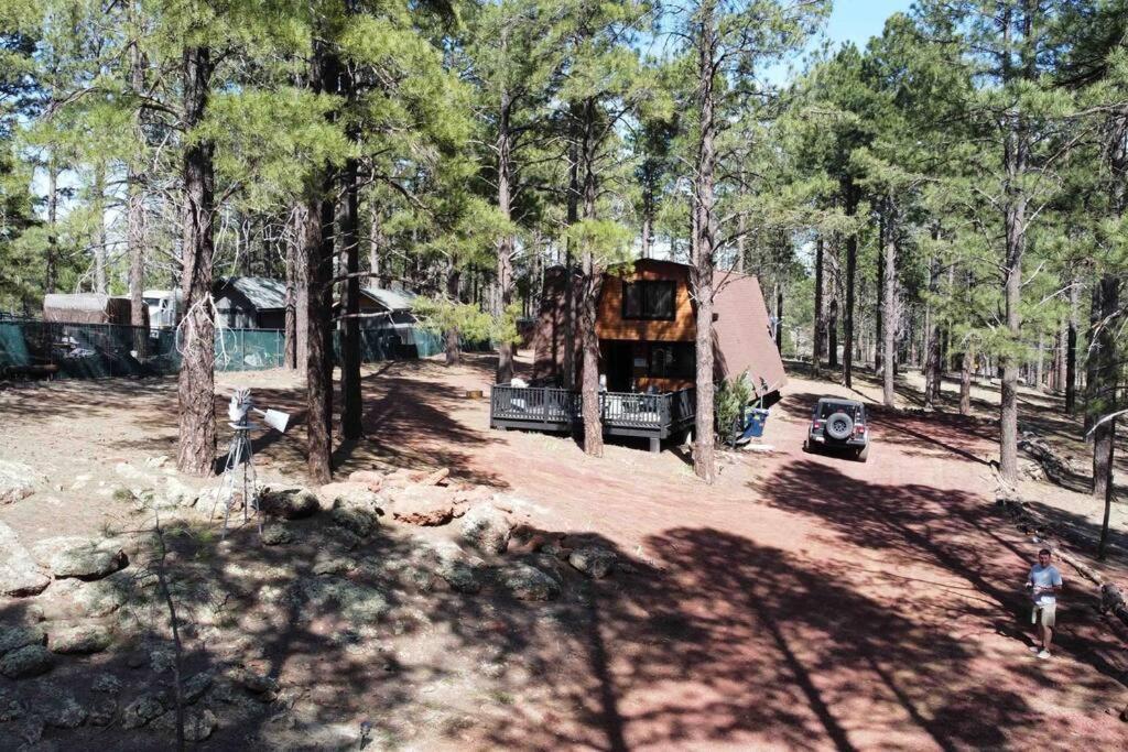 Grand Canyon Cabin! One Hour And 10 Minutes To The South Entrance!