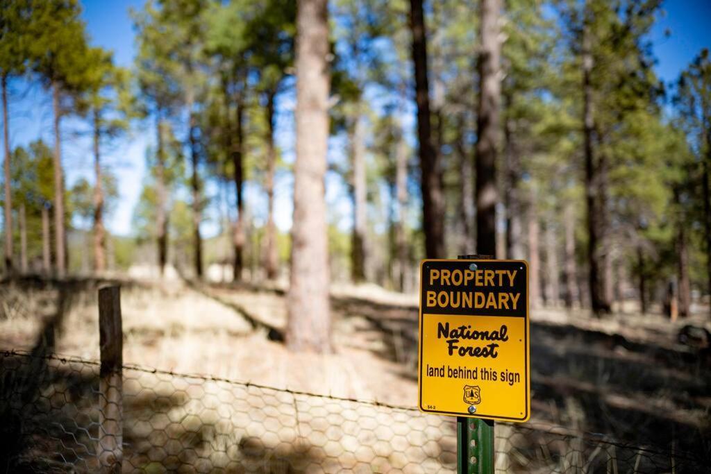 Hébergement de vacances Grand Canyon Cabin! One Hour And 10 Minutes To The South Entrance! Williams